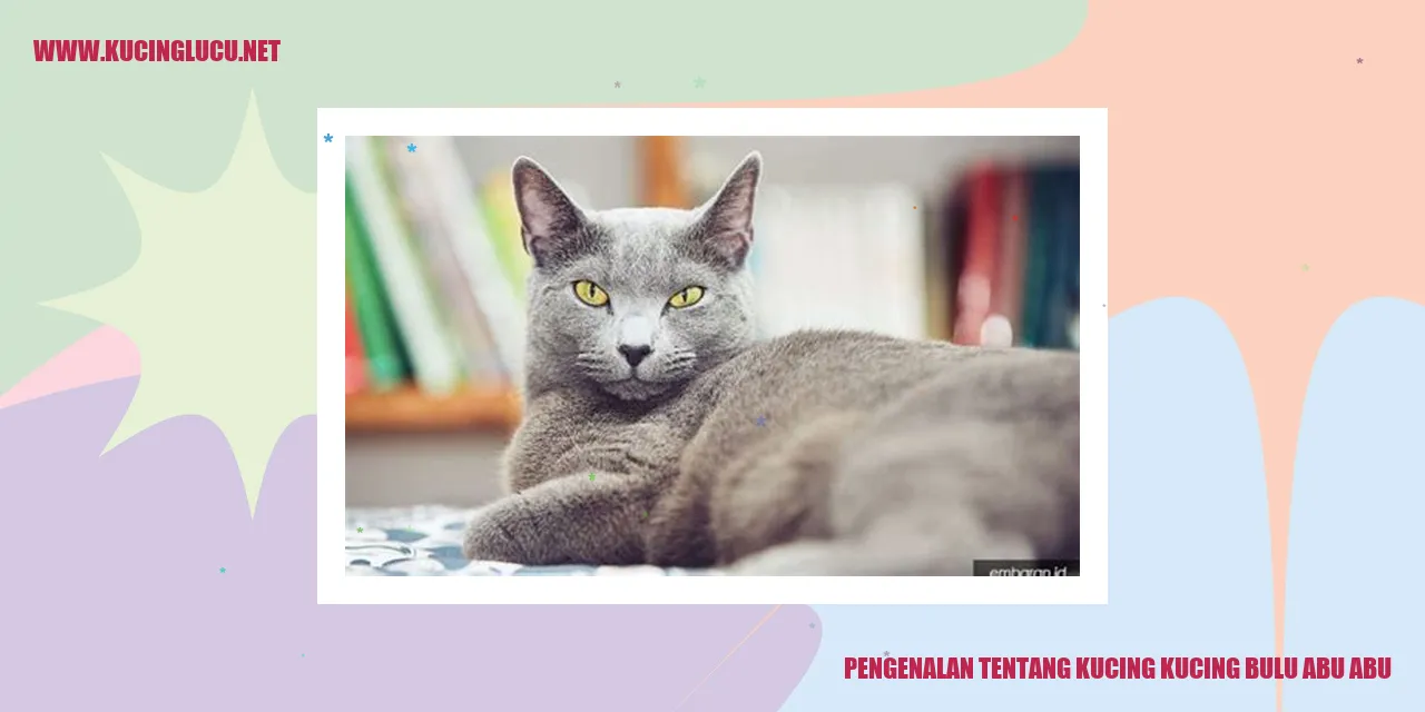 Kucing Bulu Abu-abu