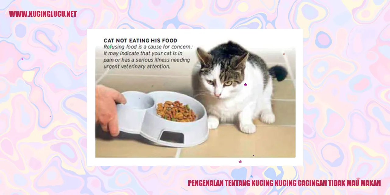Kucing cacingan tidak mau makan