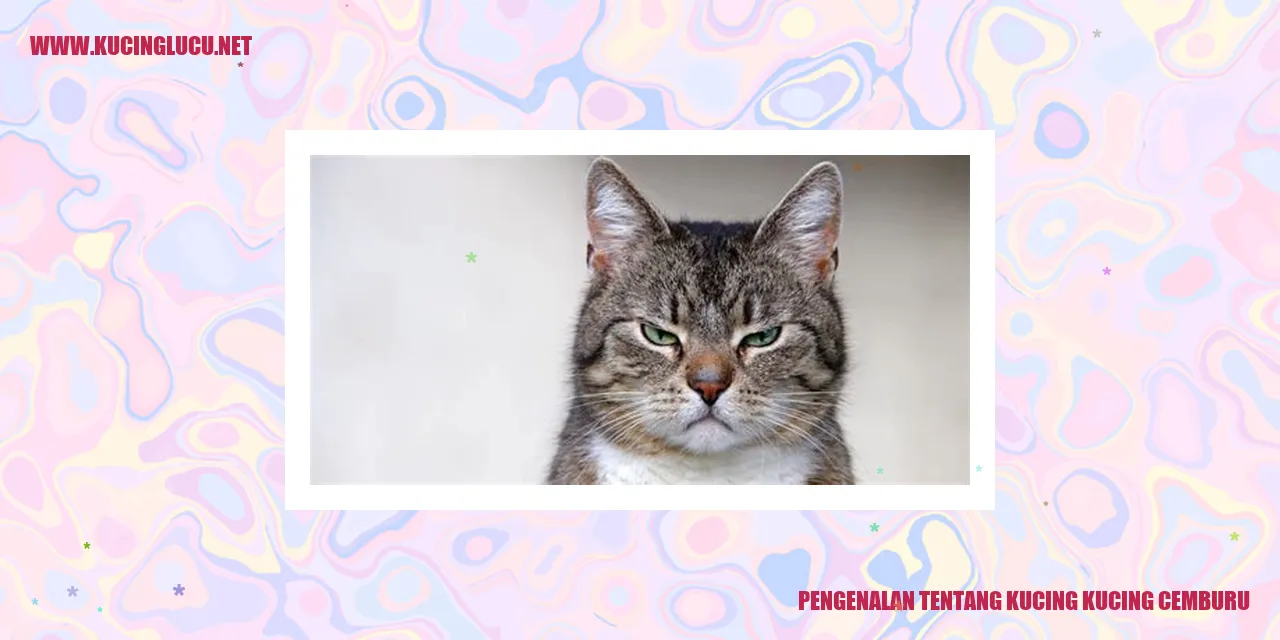 Gambar kucing yang merasa iri