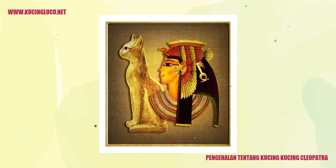 Kucing Cleopatra