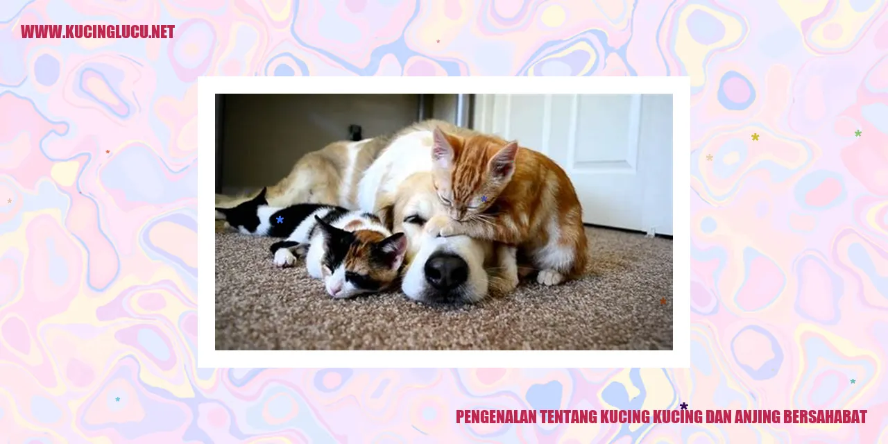 Keakraban antara Kucing dan Anjing