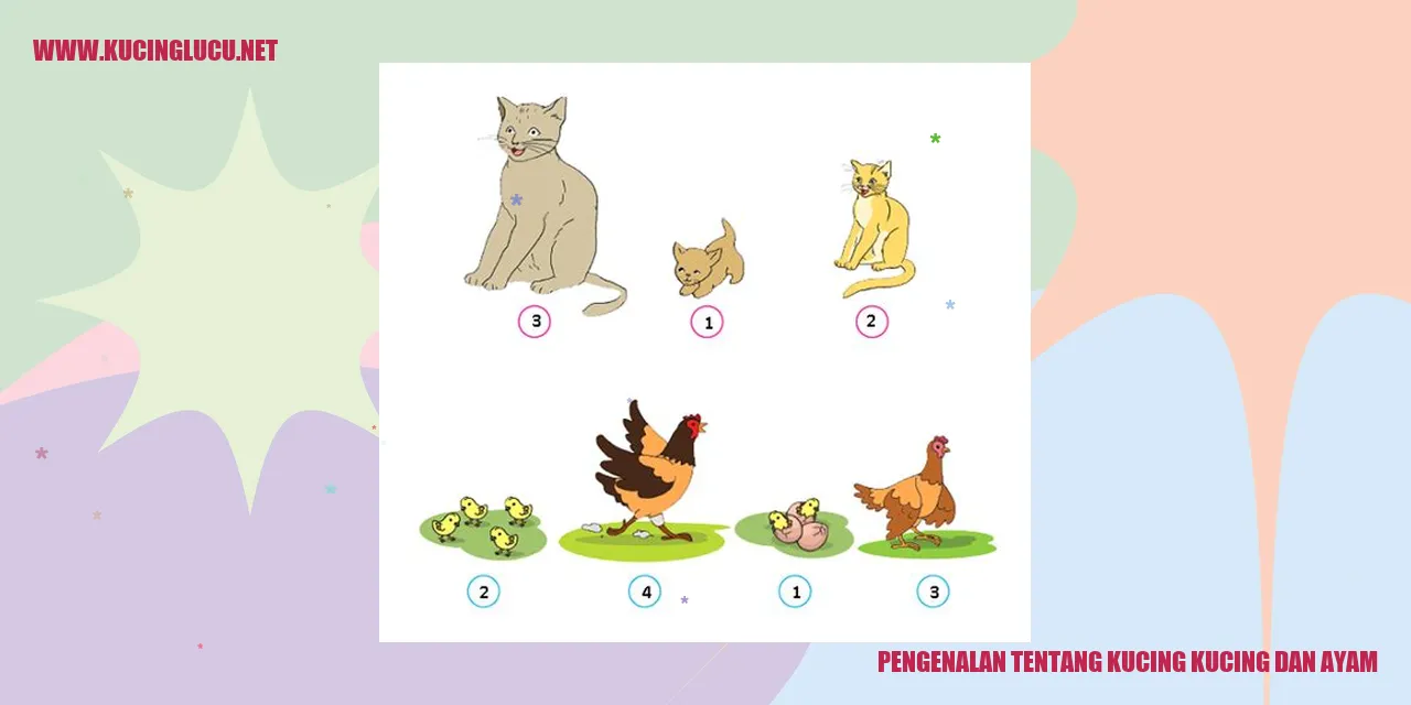Kucing dan Ayam