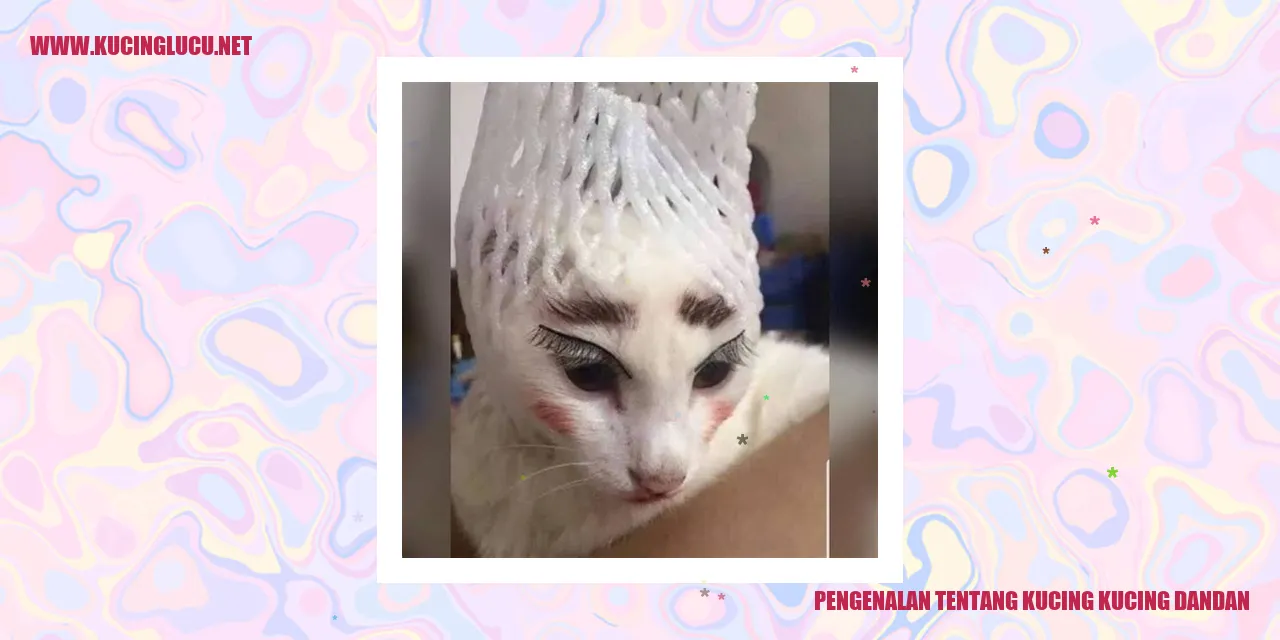 Gambar Kucing Dandan