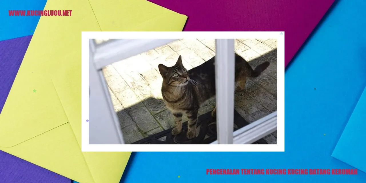 Gambar kucing lucu