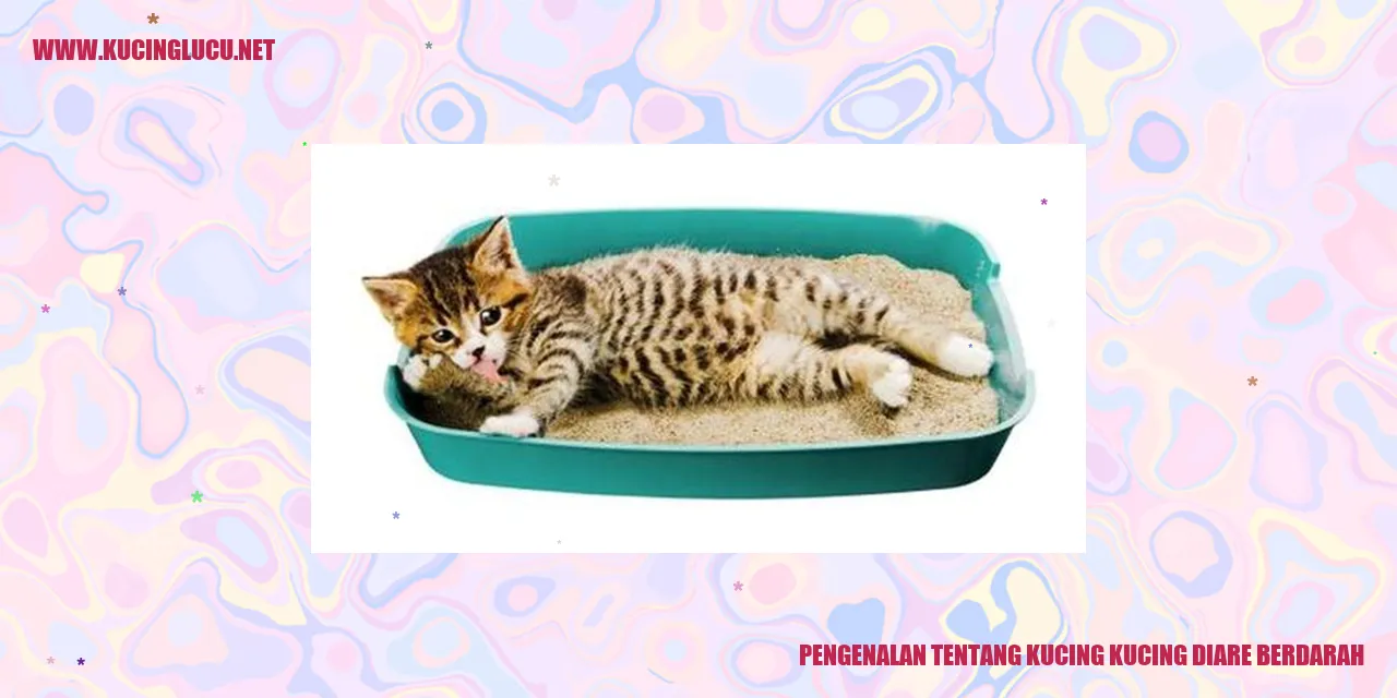 Gambar: Kucing Mengalami Diare Berdarah