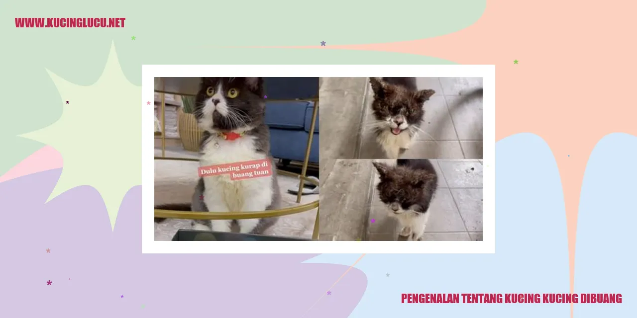 Kucing yang Dibuang