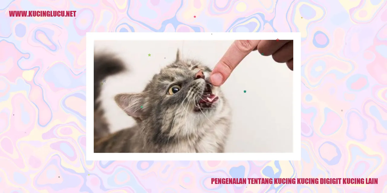 Ilustrasi Kucing yang Menggigit Kucing Lain