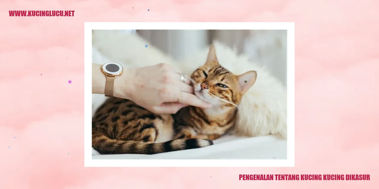 Potret Menggemaskan Kucing di Kasur