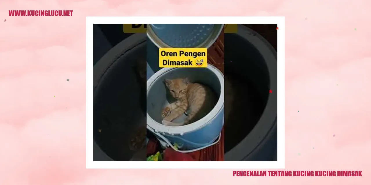 Gambar Kucing Kucing Dimasak