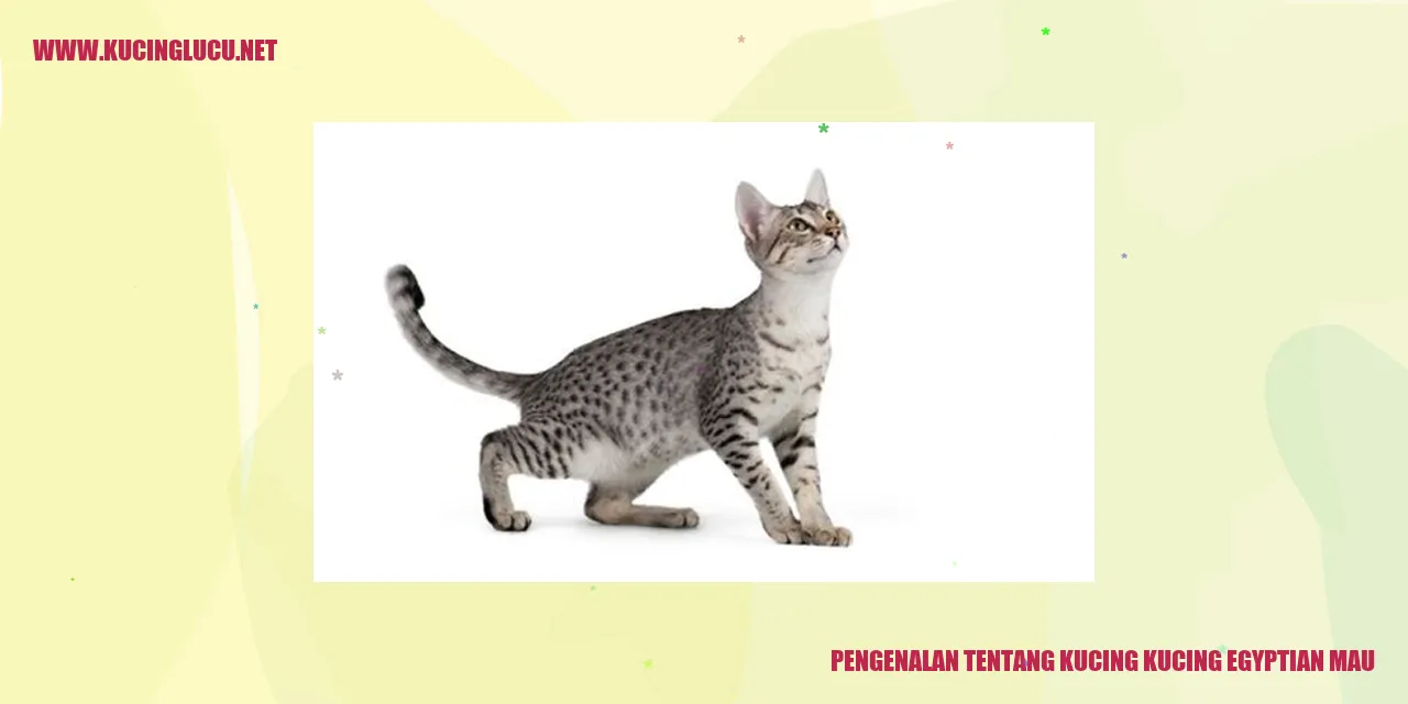 Kucing Egyptian Mau