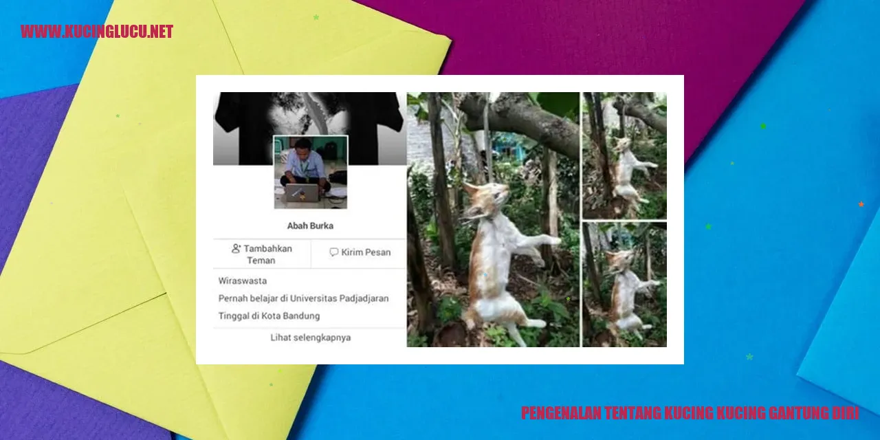 Gambar Kucing dengan Kemampuan Luar Biasa