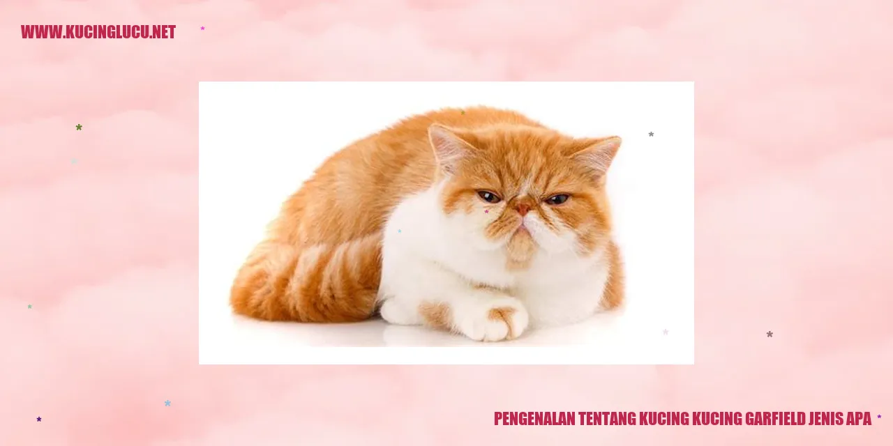 Kucing Garfield