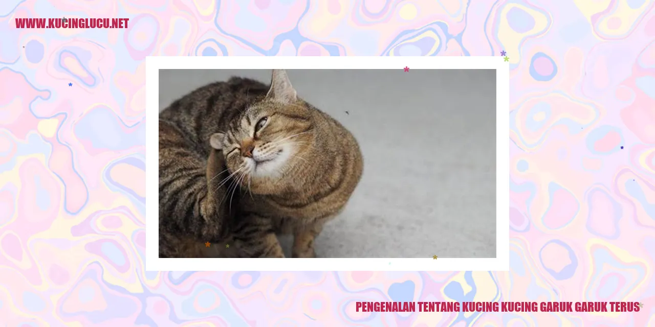 Gambar Kucing Garuk Garuk