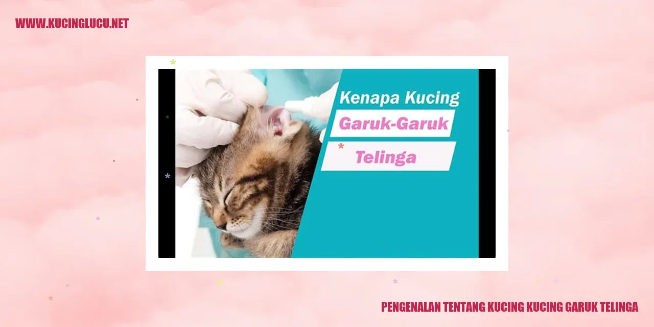 Gambar Kucing Somali yang Menggemaskan