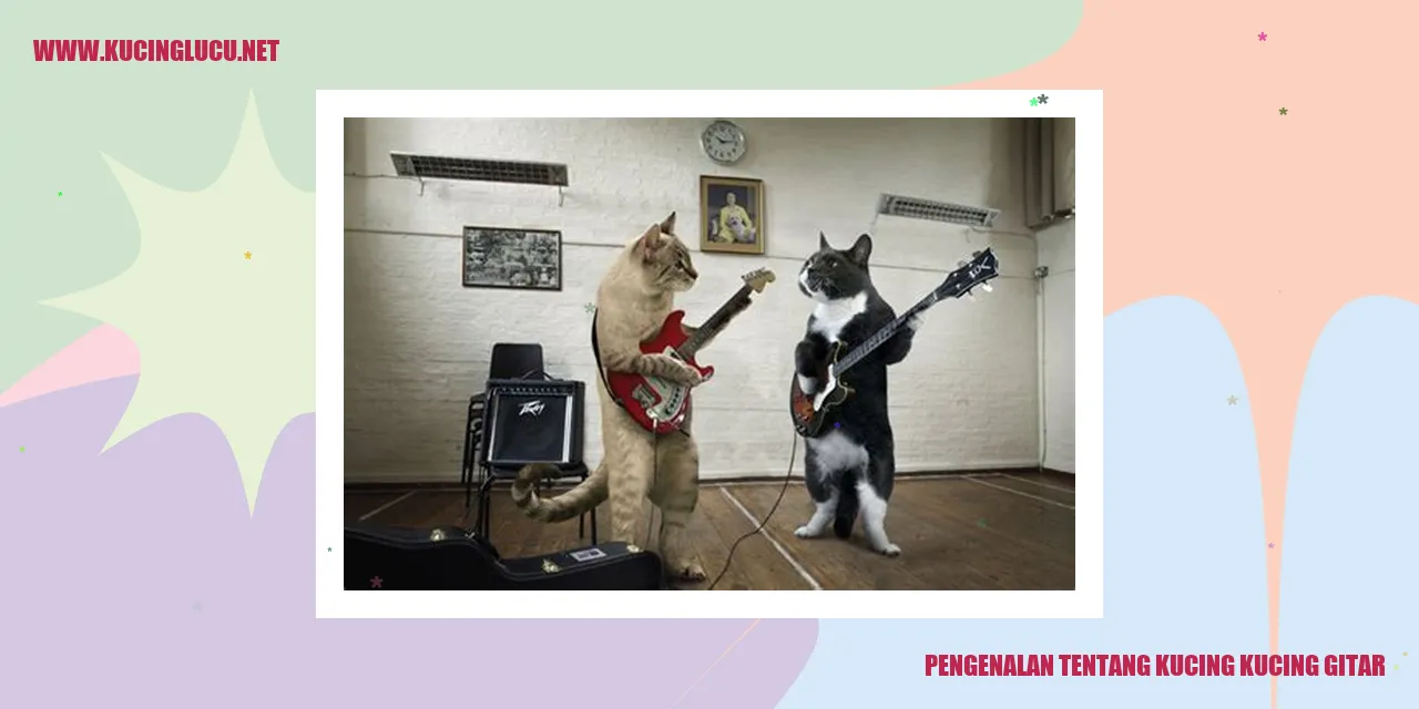 Kucing-kucing Gitar