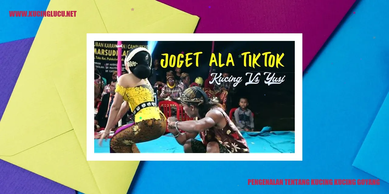 Pengenalan tentang Kucing kucing goyang