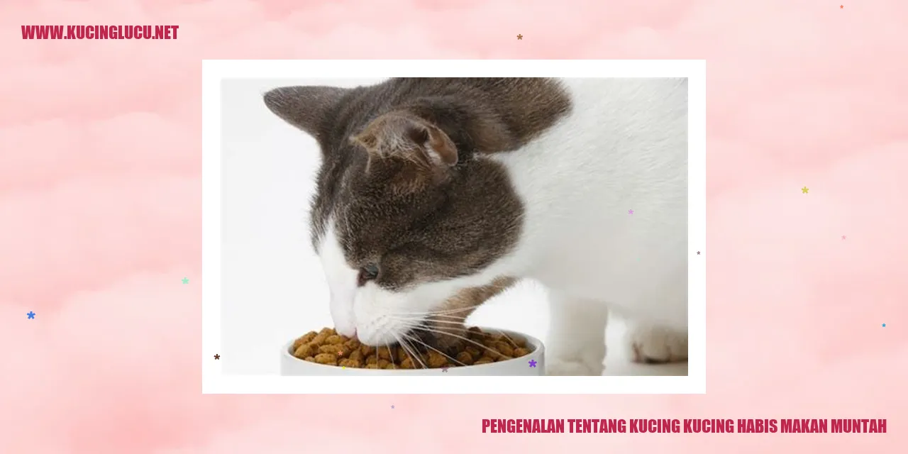 kucing muntah setelah makan