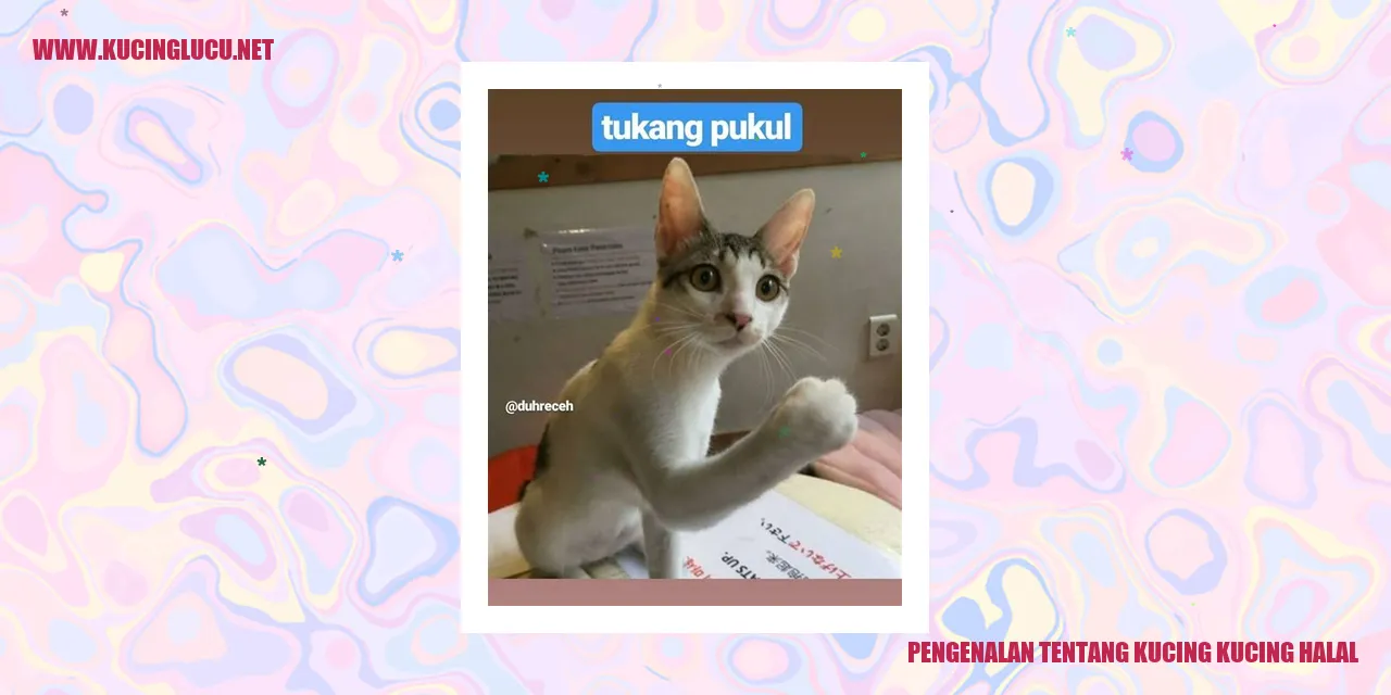 Kucing Kucing Halal
