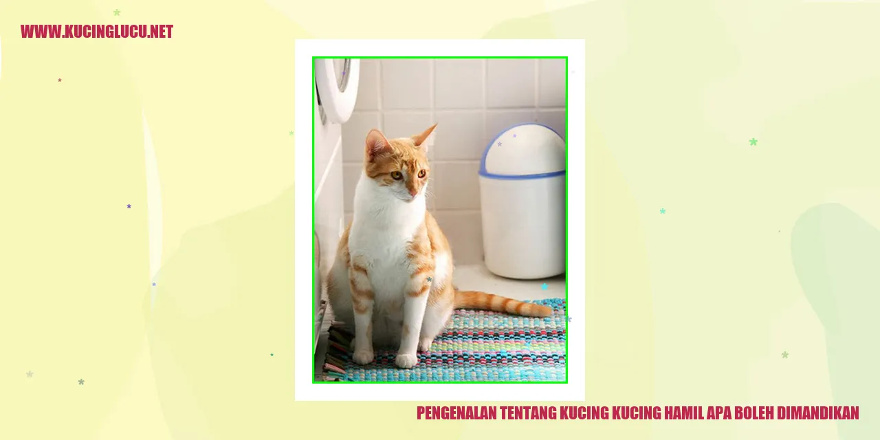 Ilustrasi Kucing Hamil