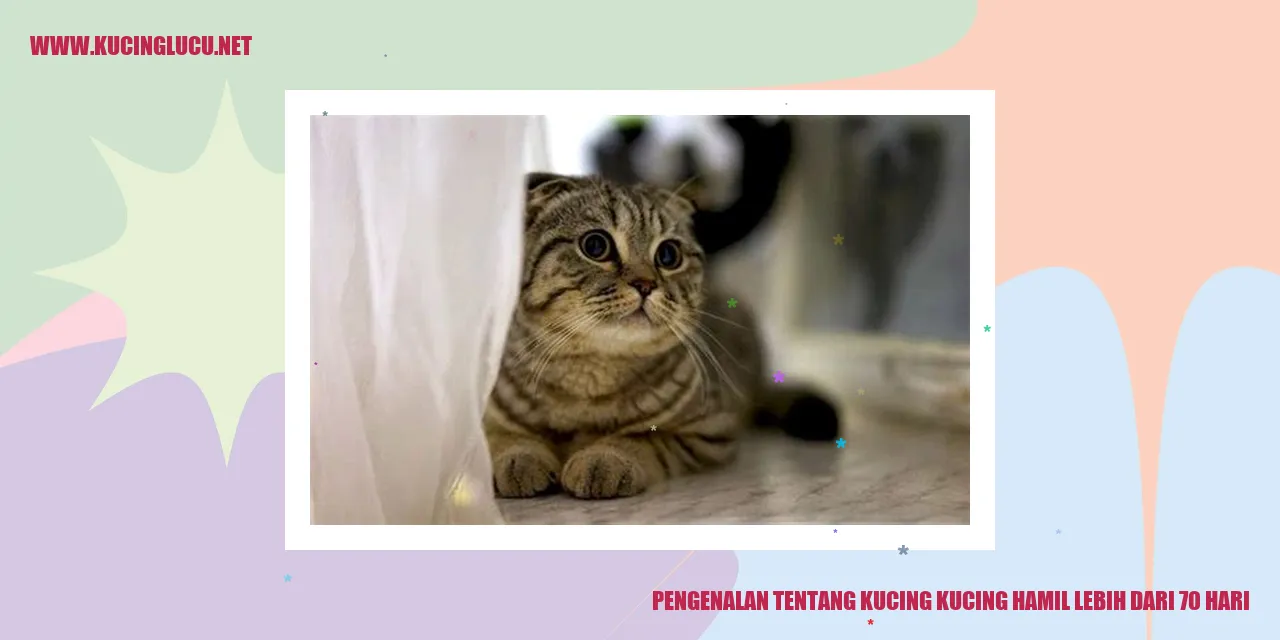 Kucing Hamil
