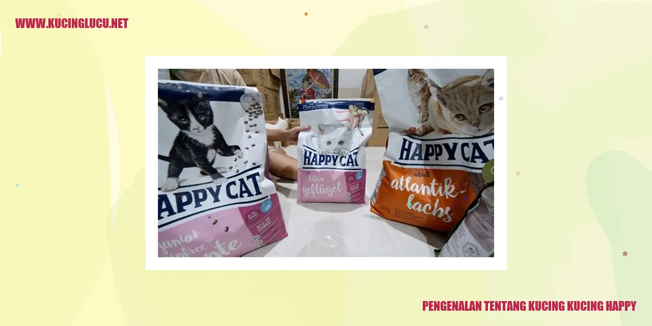 Kucing Ceria
