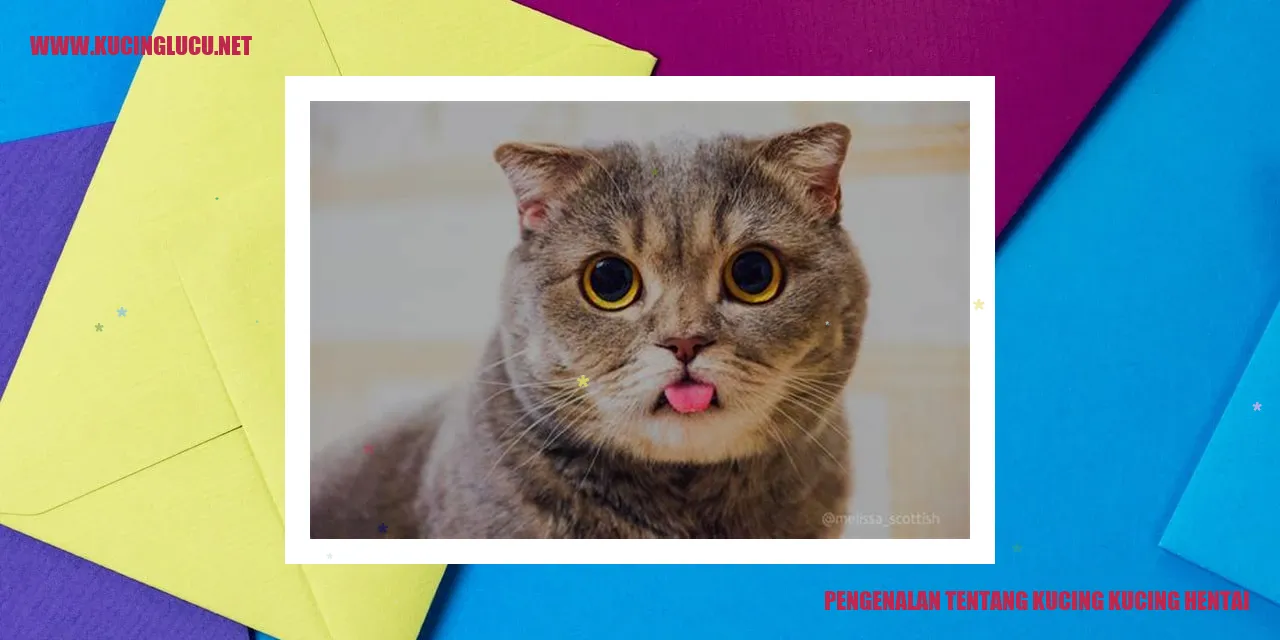 Ilustrasi Kucing Kucing Hentai