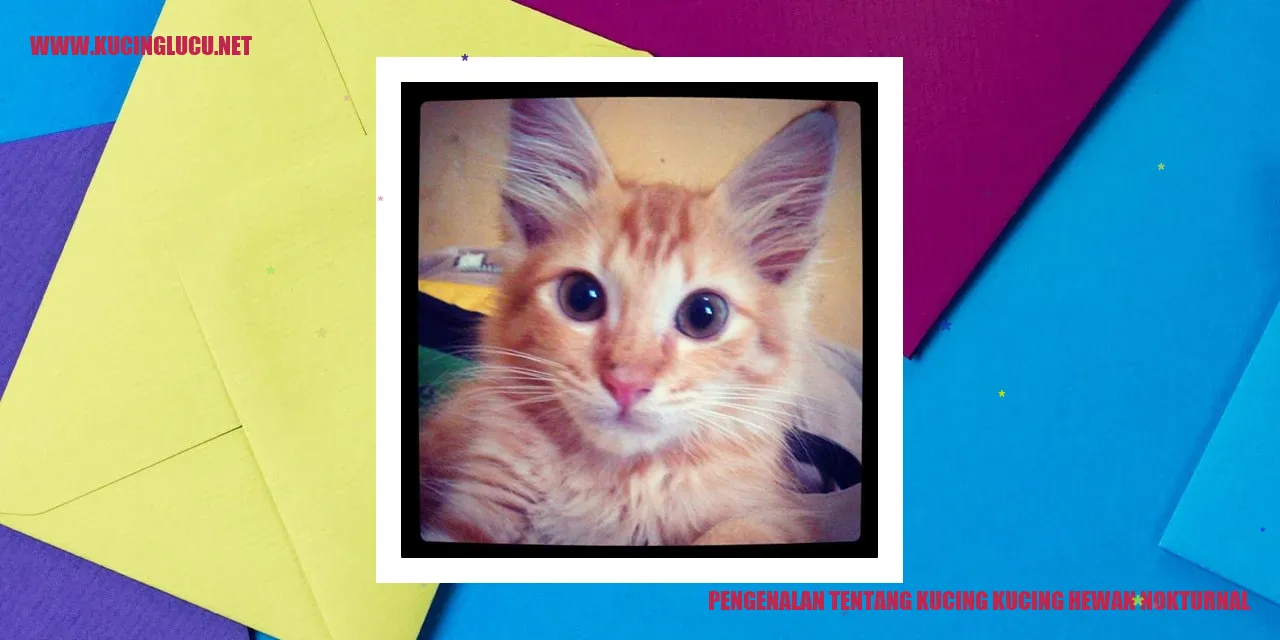 Gambar Kucing Nokturnal
