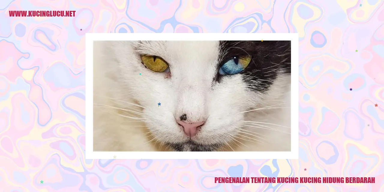 Kucing-kucing Bermasalah dengan Hidung