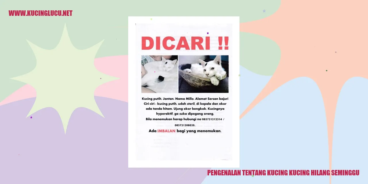 Kucing Hilang