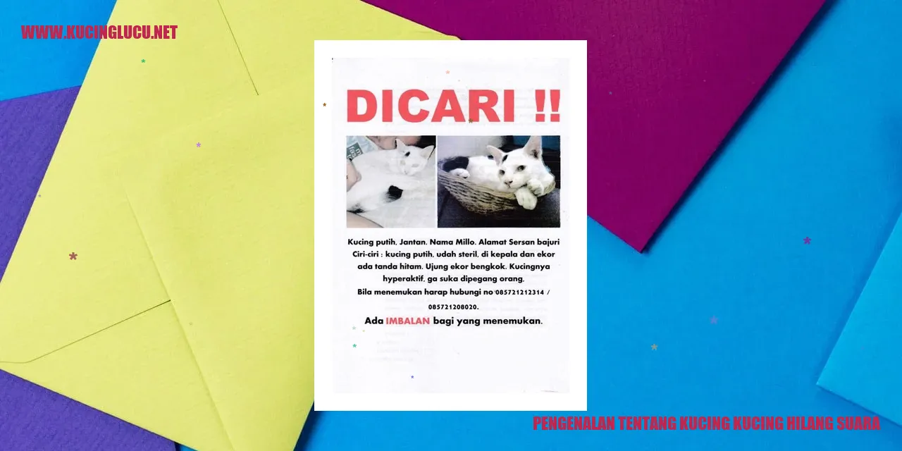 Kucing Hilang Suara