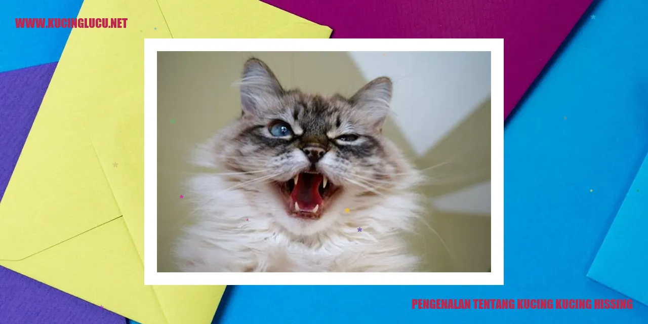 Kucing Hissing