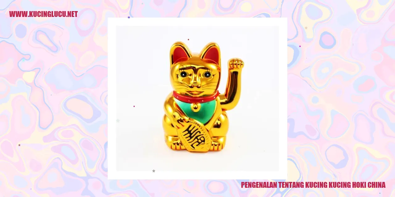 Kucing-kucing Hoki China