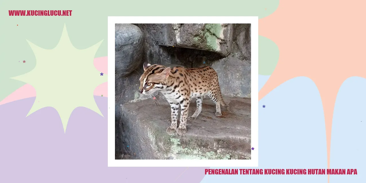 Gambar Kucing Hutan