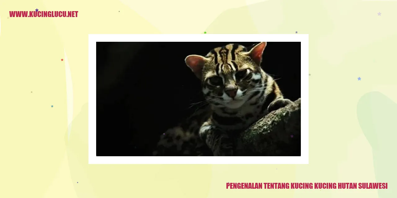 Gambar Kucing Hutan Sulawesi