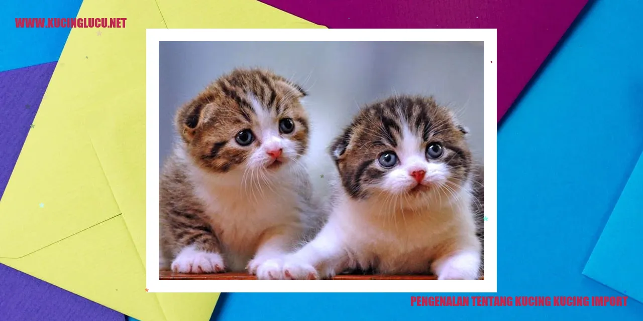 Kucing-Kucing Impor