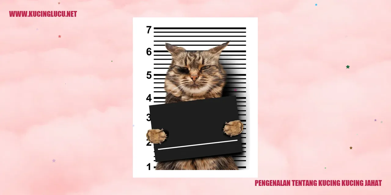 Kucing-kucing jahat