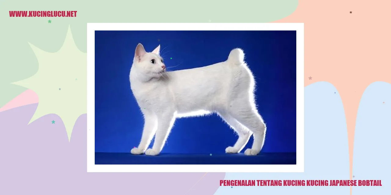 Kucing Japanese Bobtail