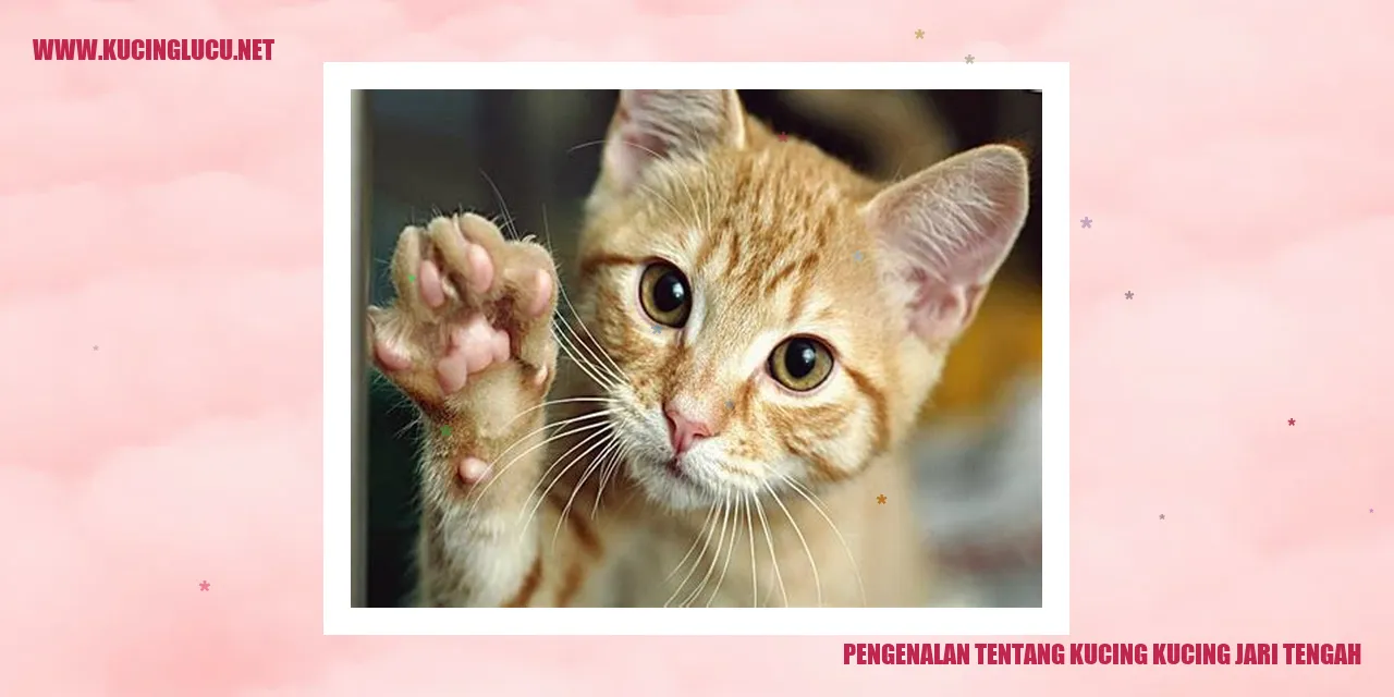 Gambar Kucing Kucing Jari Tengah