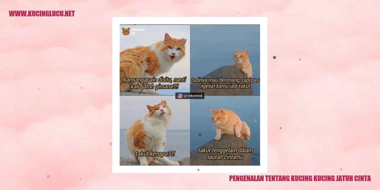 Kucing jatuh cinta