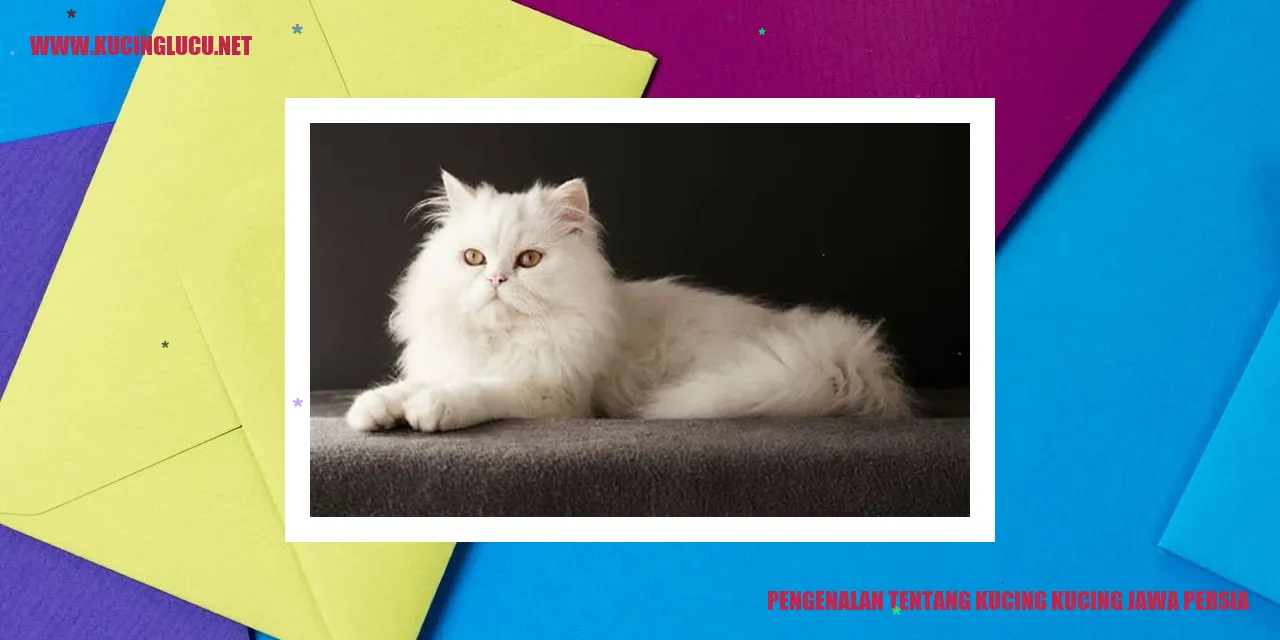 Kucing Jawa Persia