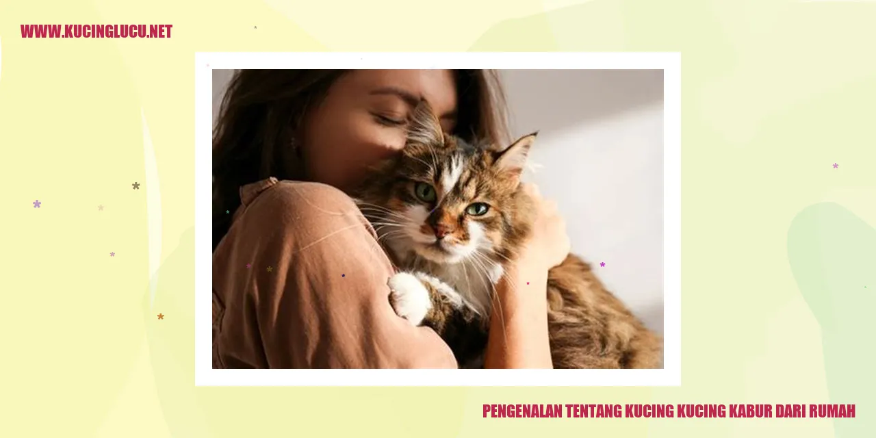Kucing yang kabur dari rumah