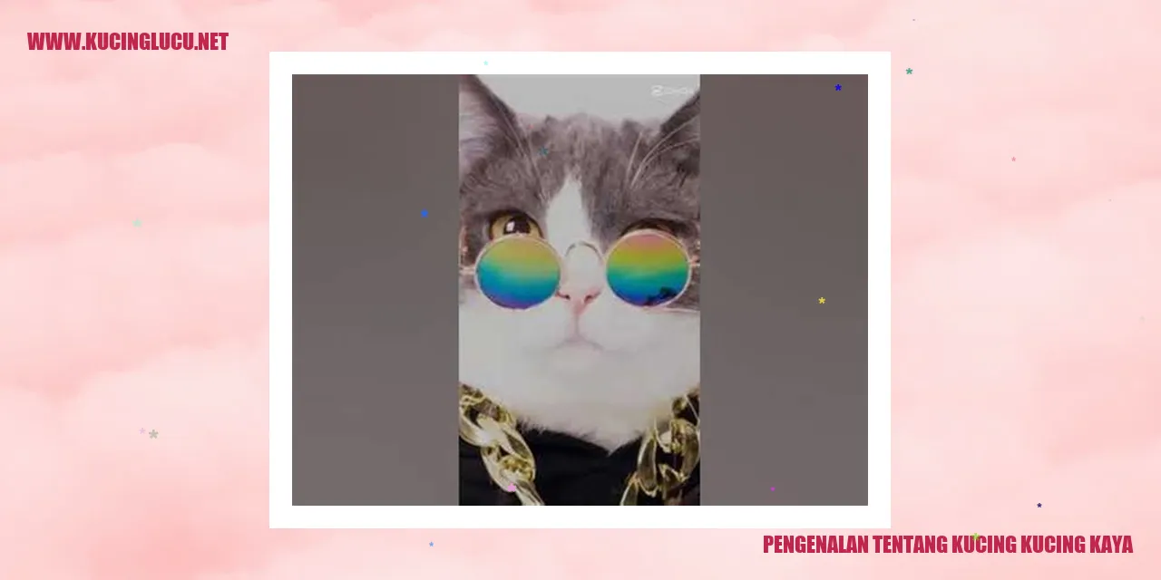 Gambar Kucing Kucing Kaya
