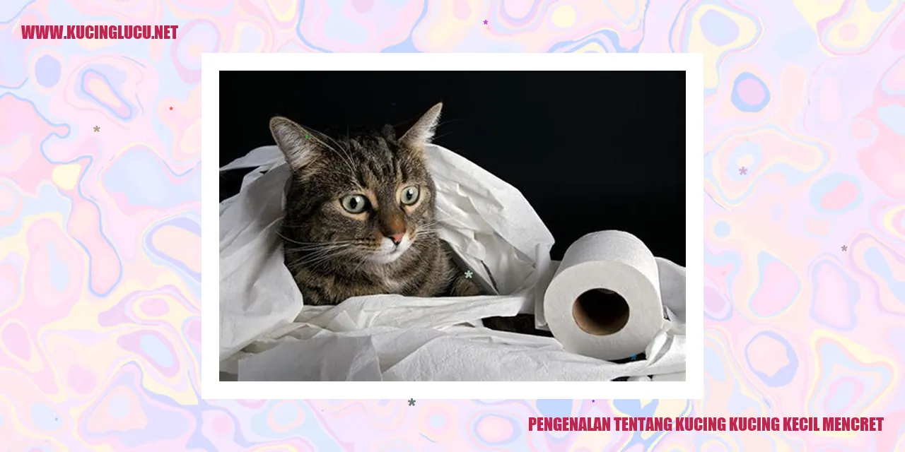 Gambar Kucing Kucing Kecil Mencret