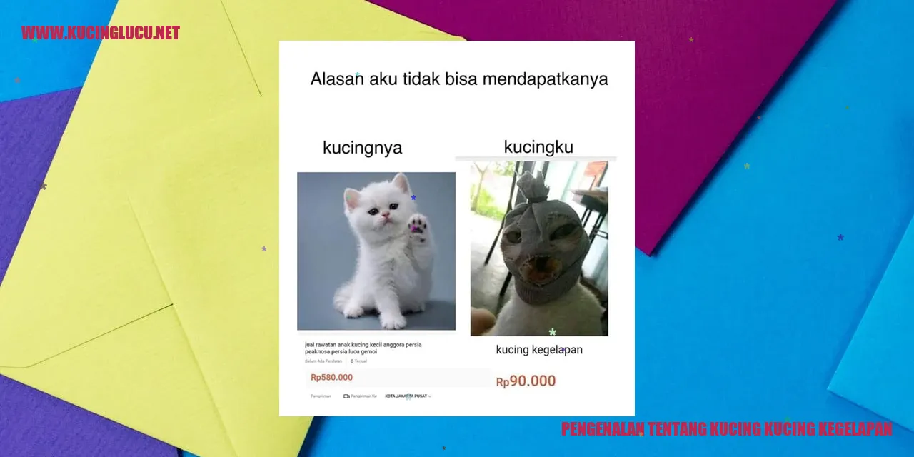Kucing Kucing Kegelapan