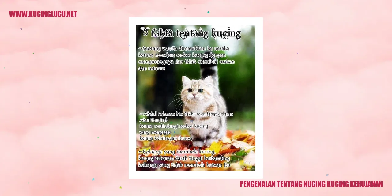Kucing Menikmati Hujan