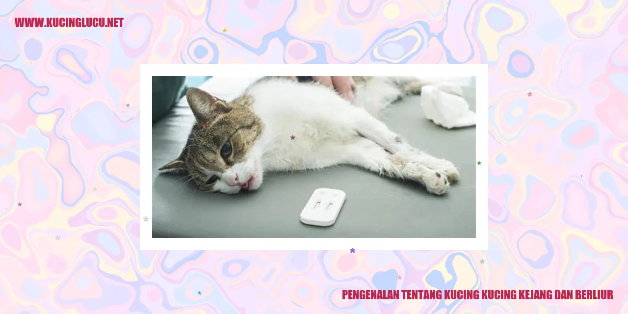 Gambar Kucing Kejang dan Berliur