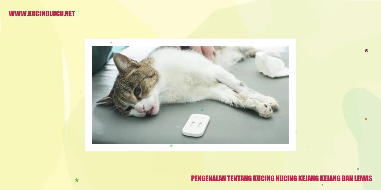 Gambar Kucing Mengalami Kejang Kejang dan Lemas