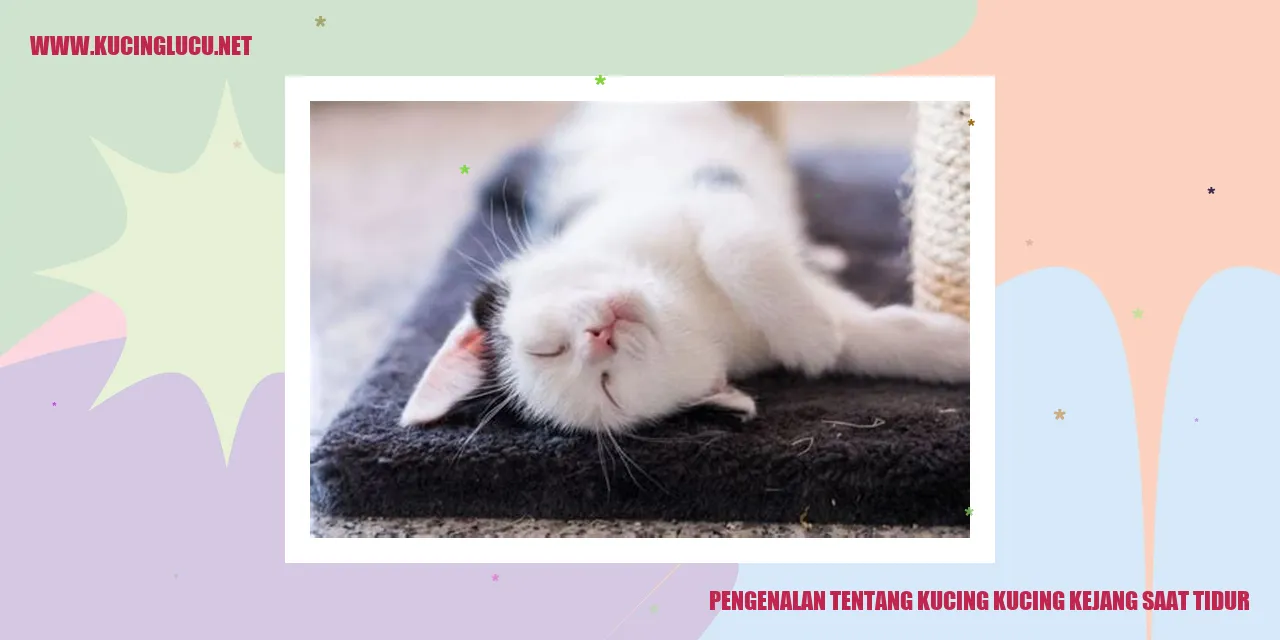 Kucing Mengalami Kejang Saat Tidur