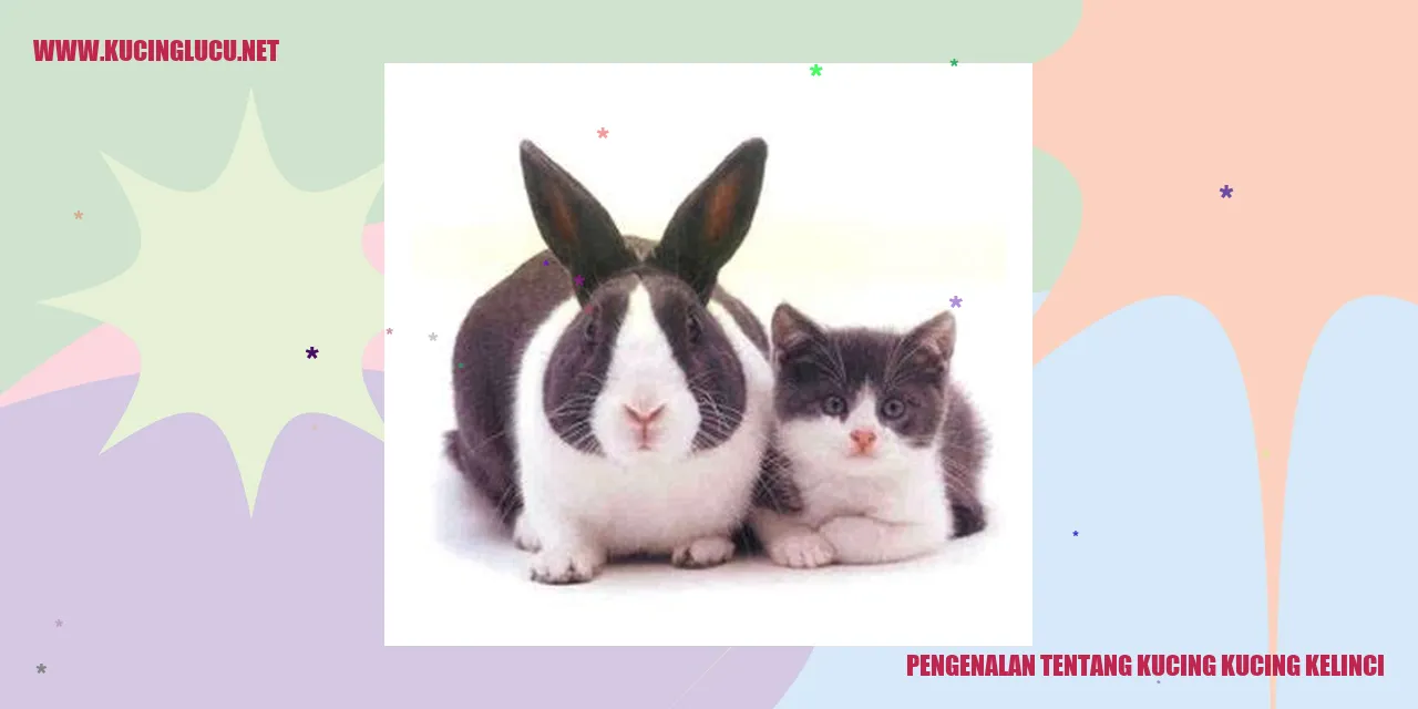 Gambar Kucing dan Kelinci