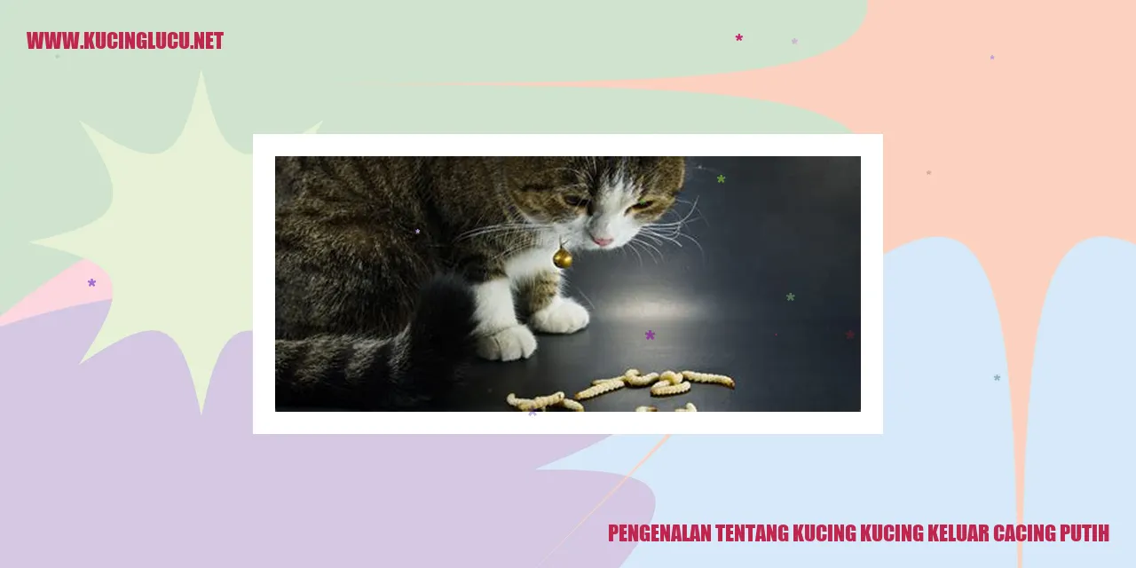 Ilustrasi Kucing yang Terinfeksi Cacing Putih